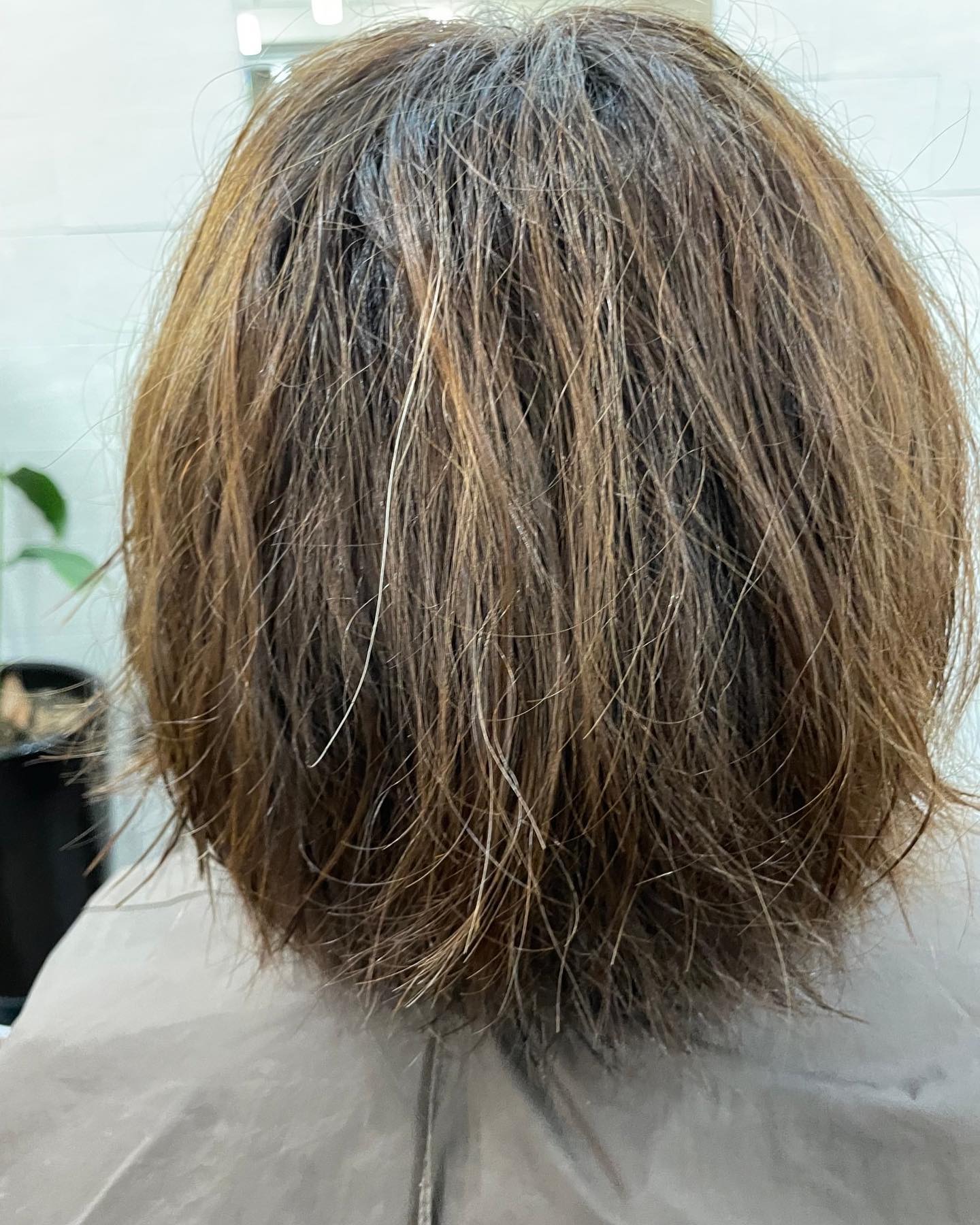 髪質改善エイジングストレート

︎１〜２ヶ月ごとのカラーリング

︎ホームケアもして
︎手触りも良し

しかし
︎パサつき
︎広がり
︎スタイリングに時間がかかる、、、
︎まっすぐしたいけど
ペタンコは嫌🤢

そんな、オーダーにお応えできる
エイジングケア
髪質改善ストレート
¥２２，０００〜

enzyme